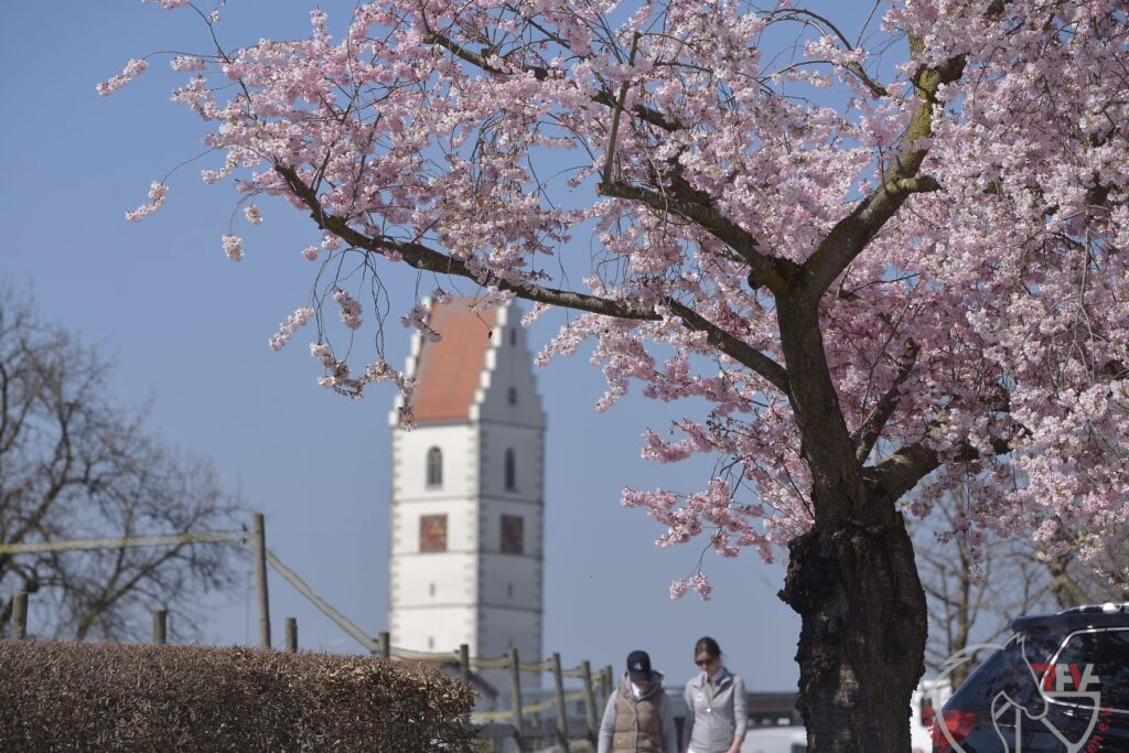 2019-03-29_grosses-turnier-_springen_158